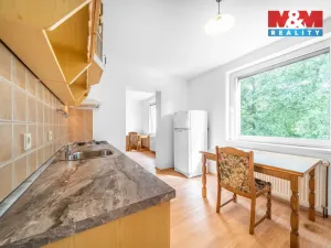 Pronájem bytu 1+1, Praskolesy, 30 m2