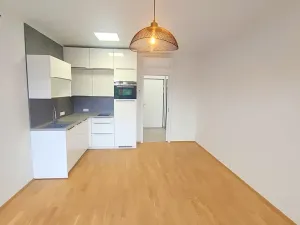 Prodej bytu 1+kk, Praha, Formanská, 33 m2