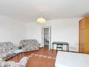 Pronájem pokoje, Praha - Žižkov, Blahníkova, 28 m2