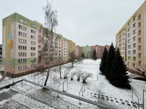 Prodej bytu 2+1, Kopřivnice, Francouzská, 43 m2