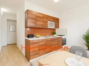 Pronájem bytu 2+1, Ostrava - Mariánské Hory, Štítného, 51 m2