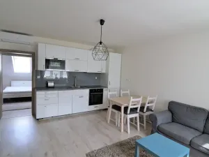 Pronájem bytu 2+kk, Brno, Čejkova, 49 m2