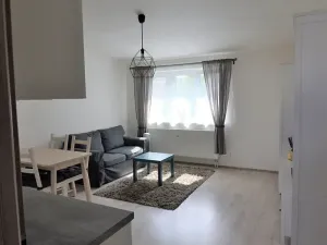 Pronájem bytu 2+kk, Brno, Čejkova, 49 m2