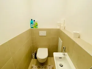 Prodej ubytování, Brno, U Červeného mlýna, 56 m2