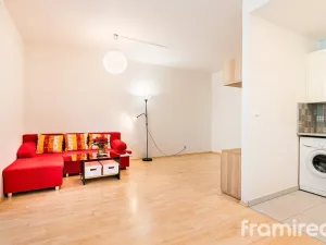 Pronájem bytu 1+kk, Brno, U Leskavy, 36 m2