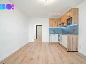 Prodej bytu 1+kk, Ostrava, Lumírova, 27 m2