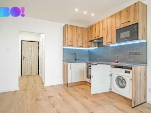 Prodej bytu 1+kk, Ostrava, Lumírova, 27 m2