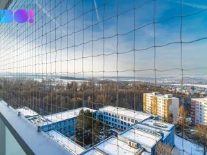 Prodej bytu 1+kk, Ostrava, Lumírova, 27 m2