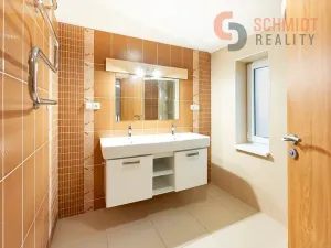 Pronájem rodinného domu, Břeclav, Kupkova, 232 m2