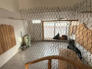 Pronájem kanceláře, Děčín, Prokopa Holého, 56 m2