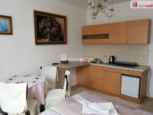 Pronájem bytu 1+kk, Mariánské Lázně - Úšovice, Kubelíkova, 24 m2