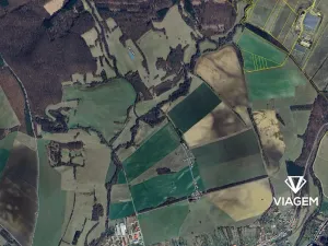 Prodej pole, Záhorovice, 4235 m2