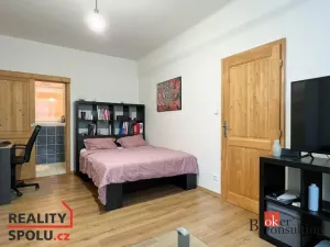 Pronájem bytu 1+1, Plzeň - Východní Předměstí, Koterovská, 37 m2