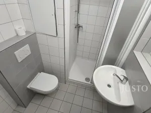 Pronájem bytu 1+1, Písek, 17. listopadu, 35 m2