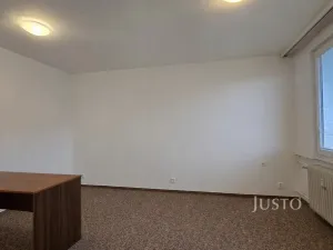 Pronájem bytu 1+1, Písek, 17. listopadu, 35 m2