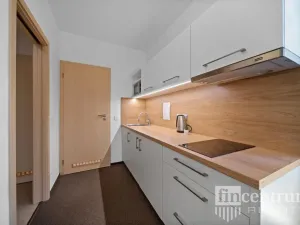 Prodej bytu 3+kk, Říčky v Orlických horách, 80 m2