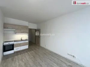 Pronájem bytu 1+kk, Břeclav, J. Opletala, 30 m2