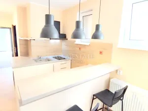 Pronájem bytu 1+1, Dalovice, Pod Parkem, 40 m2