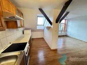 Pronájem bytu 1+kk, České Budějovice, Jírovcova, 68 m2