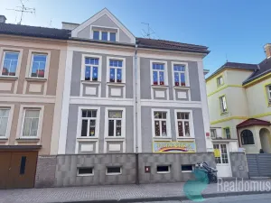 Pronájem bytu 1+kk, České Budějovice, Jírovcova, 68 m2
