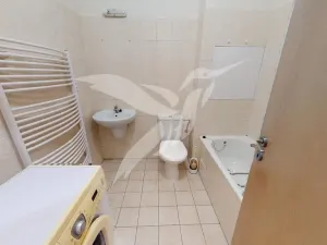 Pronájem bytu 1+kk, Plzeň, Mutěnická, 68 m2