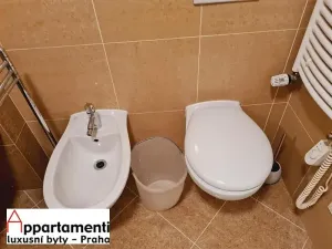 Pronájem bytu 3+kk, Praha - Vinohrady, Mánesova, 72 m2