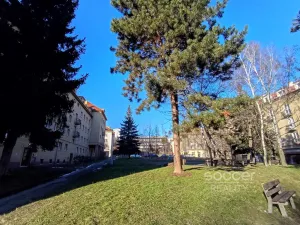 Pronájem bytu 2+1, Praha - Vokovice, K lánu, 55 m2