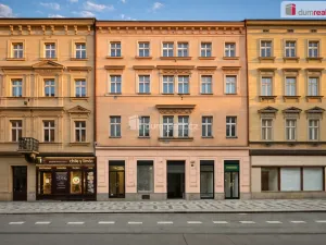 Pronájem obchodního prostoru, Praha - Smíchov, Lidická, 200 m2