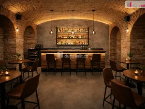 Pronájem obchodního prostoru, Praha - Smíchov, Lidická, 200 m2