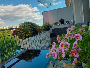 Pronájem bytu 3+kk, Brno, Humenná, 65 m2