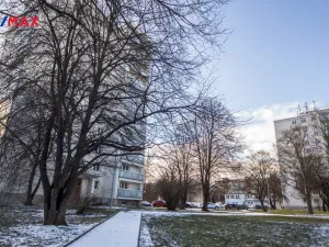 Pronájem bytu 3+1, Praha - Břevnov, Na Petřinách, 63 m2