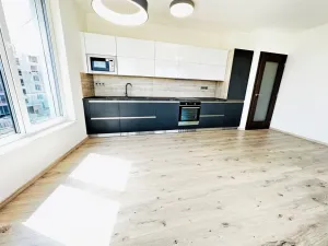 Pronájem bytu 2+kk, Ostrava - Moravská Ostrava, F. X. Riepla, 60 m2