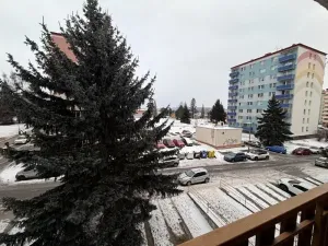 Prodej bytu 3+1, Jihlava, Olbrachtova, 92 m2