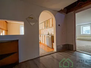 Prodej rodinného domu, Javorník, Družstevní, 407 m2