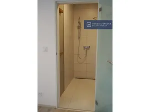 Pronájem bytu 1+kk, Brno, Rumiště, 25 m2