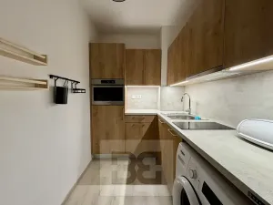 Pronájem bytu 1+kk, Brno, Husovická, 40 m2