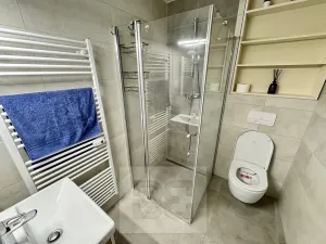 Pronájem bytu 1+kk, Brno, Husovická, 40 m2