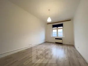 Pronájem bytu 2+1, Praha - Žižkov, Přemyslovská, 46 m2