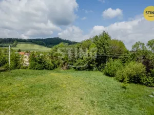 Prodej pozemku pro bydlení, Palkovice, 5309 m2