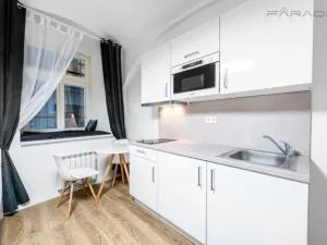 Pronájem bytu 1+kk, Praha - Nové Město, Petrská, 26 m2