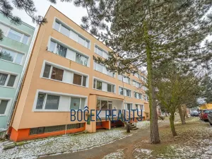 Prodej bytu 3+1, Komárov, Mládežnická, 65 m2