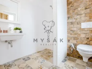 Pronájem bytu 1+kk, Drahotěšice, 40 m2