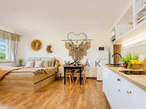 Pronájem bytu 1+kk, Drahotěšice, 40 m2