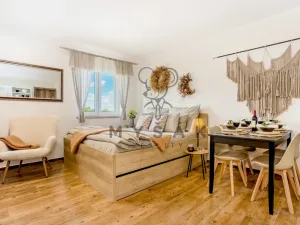 Pronájem bytu 1+kk, Drahotěšice, 40 m2