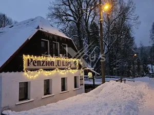 Prodej ubytování, Josefův Důl, 550 m2