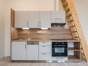 Pronájem bytu 1+kk, Liberec - Liberec III-Jeřáb, Americká, 53 m2