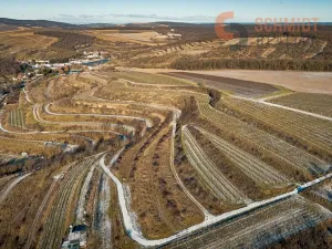 Prodej sadu/vinice, Němčičky, 4556 m2