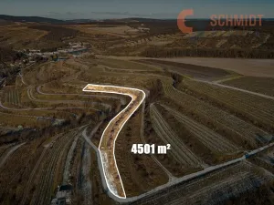 Prodej sadu/vinice, Němčičky, 4556 m2