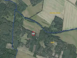 Prodej lesa, Sokoleč, 1948 m2