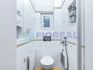 Pronájem bytu 2+1, Praha - Vinohrady, Moravská, 126 m2